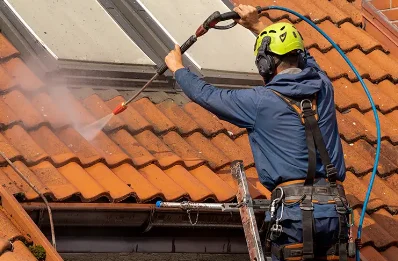 Démoussage et hydrofuge de toiture à Treix